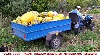 ОСЕННИЕ РАБОТЫ МОТОБЛОКОМ, ПРИЕХАЛ ПОМОЧЬ СЕСТРЕ / ТЯЖЁЛЫЙ ДИЗЕЛЬНЫЙ МОТОБЛОК КЕНТАВР МБ 1010ДЕ6