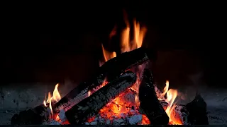 불멍 ASMR, 나무장작 타는소리, 백색소음, 힐링소리, Camp fire(30min)