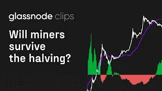 Will Bitcoin Miners Survive the Halving? - Glassnode Clips