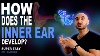 Embryology of the Ear I (Easy to Understand)