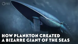 How Plankton Created A Bizarre Giant of the Seas