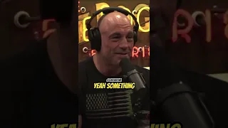 Joe Rogan Chad Stahelski on John Wick Mode  #shorts