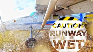 CAUTION, Runway WET! Pilatus Porter