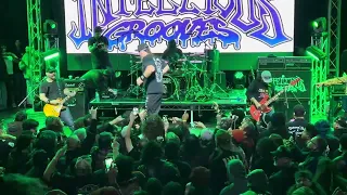 Violent & Funky - Infectious Grooves - Live at Garden Amp 03/24/24