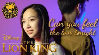 Can you feel the love tonight - The Lion King (Pimpaya Uamsri ft. Same Cover)