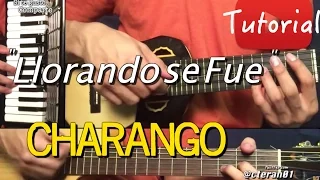 Llorando se Fue - Charango y Acordeon Tutorial/Cover