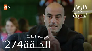 مسلسل الأزهار الحزينة | الحلقة 274 - الموسم الثالث