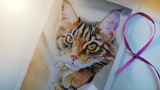😱🐱Серьезный кот акварелью! Serious cat in watercolor! 😱🐱