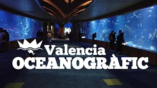 Valencia, Spain |🇪🇸| Oceanogràfic Aquarium - Oceanographic 4K