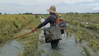 Ep.28 Elecryc fishing nag kagulo Kami sa dami ng isda at may pang benta na ulet#buhaymangingisda🐟🐟