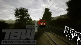 Zwei Güterzüge im Nebel - Train Sim World 2020 (Ruhr-Sieg Nord)