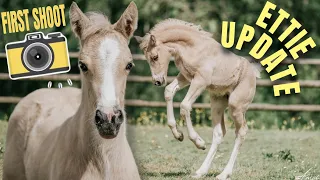 MY FOAL HAD A PHOTOSHOOT, here's what happened