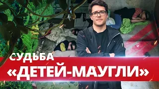 СУДЬБА «ДЕТЕЙ-МАУГЛИ», ПОЖАР DE LUXE И ПИРУЭТ НА ТРАССЕ. ОТДЕЛ ПРОИСШЕСТВИЙ 16+