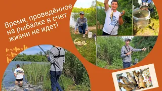 "Незабываемая рыбалка с сыном на деревенском пруду Улановка в Тульской области"