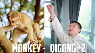 Five Animals Qi Gong - Monkey Form #2