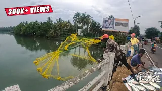 Amazing !! Cast Net Fishing on the Bridge: Fresh Fish for Sale, Rain or Shine!