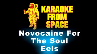 Eels • Novocaine For The Soul | Karaoke • Instrumental • Lyrics