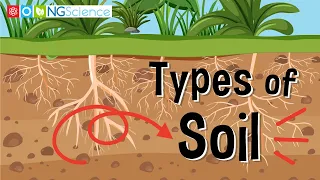 Types of Soil