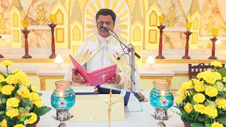 Sunday Holy Mass April 28  I 5.30 AM  I Malayalam I Syro Malabar I Fr Bineesh Augustine