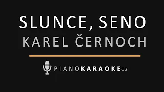 Karel Černoch - Slunce, seno | Piano Karaoke Instrumental