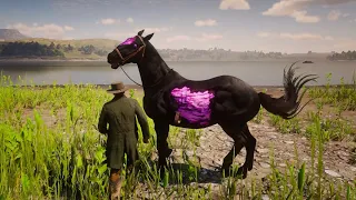 Arthur catch a most powerful Horse - Red Dead Redemption 2 Gameplay