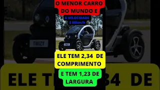 O MENOR CARRO DO MUNDO E