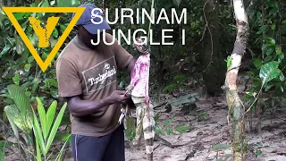 Amazon Jungle Expedition in Suriname Rainforest ( Part I )