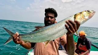 Catching Lady Fish, Grouper & Barracuda in the Sea