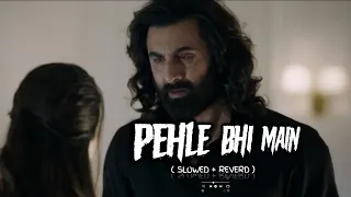 Pehle_Bhi_Main_( Slowed & Reverd )_Song | Animal_Mobie_Song | Use Headphone|