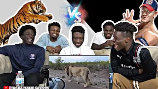 ANIMALS VS HUMANS COMPILATION!! REACTION