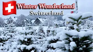 🇨🇭Heavy Snowfall in Zurich city 2021 ! Winter Wonderland Switzerland ! Swiss View