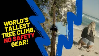World's Tallest Tree Climb, No Safety Gear! Exploring Pemberton...don't make the same mistakes!