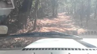 ГОА дорога на Водопад Дудхсагар Dudhsagar falls