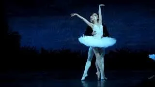 Sergei Polunin, Natalia Somova - Swan Lake (4)