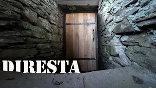 DiResta Basement Door Rebuild: 200+ Year Old Farmhouse