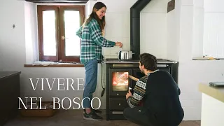 Andiamo a Vivere nel Bosco: un nuovo inizio (Ricordo 1)