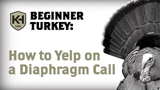 How To Yelp on a Diaphragm Call: Turkey Calling For Beginners