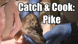 Catch, Clean, & Cook: NORTHERN PIKE (No Bones!)