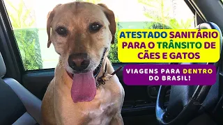 Preciso de um Atestado Sanitário quando viajar com o meu cachorro (pet)? - Dica Jurídica pet