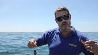 Wreck Fishing - A Simple Rig For Working Shads And Jellies
