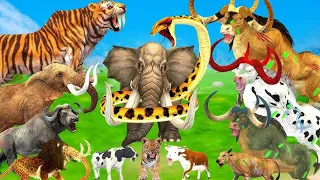 African Elephant Vs 5 Giant Tigers Lion Attack Camel, 7 Zebra Saved by Woolly Mammoth Vs Tiger Panda