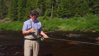 Hawke River Salmon | Labrador