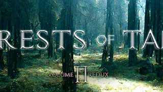 [Vol. 2] - Jeremy Soule (Skyrim) — “In The Forests of Tamriel” Redux [Extended] (1 Hr.)