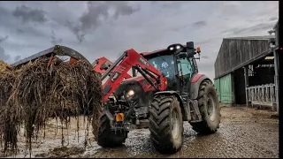 🇫🇷🌾🐄 NEW CASE IH MAXXUM 150 CVX  AU FUMIER ! TEAM CASE IH  GAEC DE POULBIGNON