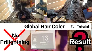 Majirel Lift 13 Global Color On Color Treated Hair ||By Salonfact