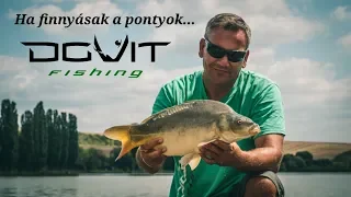 Ha finnyásak a pontyok...