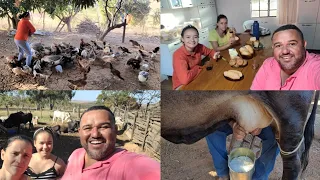 ROTINA DA MANHÃ NA ROÇA+CAFÉ DA MANHÃ+ALIMENTANDO DOS ANIMAIS+TIRANDO LEITE