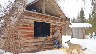 ТЕПЕРЬ В ИЗБУШКЕ БУДЕТ ПЛАСТИКОВОЕ ОКНО / ЗАЕЗД В ТАЙГУ С НОЧЁВКОЙ / НУЖНО УСПЕТЬ ДО СУМЕРЕК.