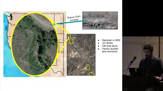 The grass is always greener Quantifying outcomes of low tech riparian and wet meadow restoration