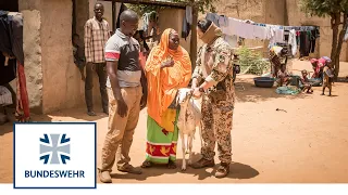 Hammelübergabe in Gao | Embedded Community Mali | Bundeswehr